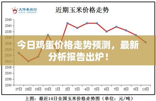 今日鸡蛋价格走势预测,最新分析报告出炉!