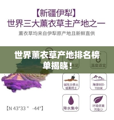世界薰衣草产地排名榜单揭晓!