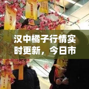 汉中橘子行情实时更新,今日市场走势一网打尽