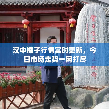 汉中橘子行情实时更新,今日市场走势一网打尽