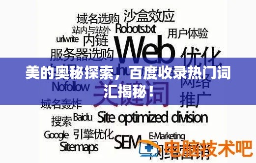 美的奥秘探索,百度收录热门词汇揭秘!