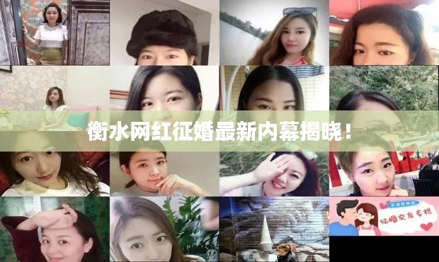 衡水网红征婚最新内幕揭晓!