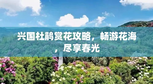2025年7月4日 第5页
