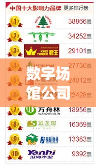 数字场馆公司排行榜揭晓,行业影响力与排名一览