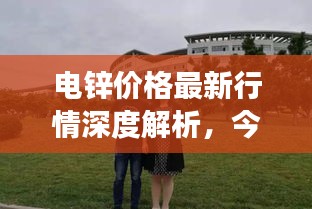 电锌价格最新行情深度解析,今日市场动态一网打尽