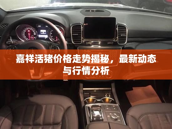 嘉祥活猪价格走势揭秘,最新动态与行情分析