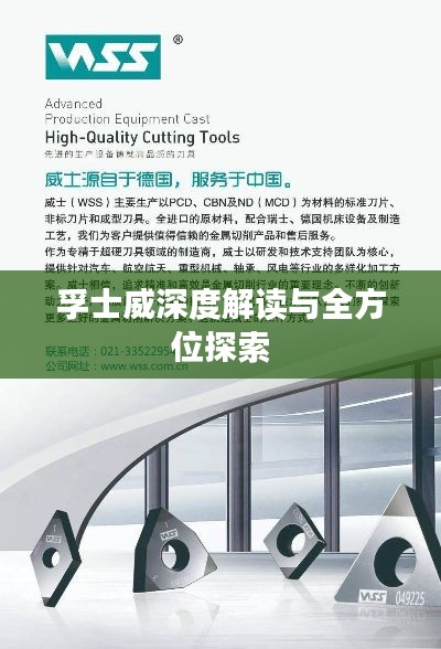 孚士威深度解读与全方位探索