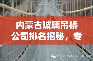 内蒙古玻璃吊桥公司排名揭秘,专业团队打造,品质卓越的企业榜单