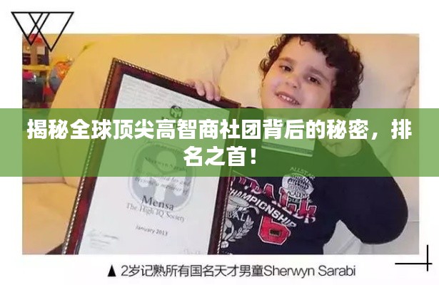 揭秘全球顶尖高智商社团背后的秘密,排名之首!