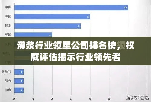 灌浆行业领军公司排名榜,权威评估揭示行业领先者