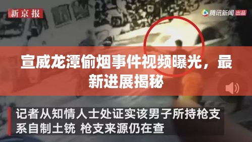 宣威龙潭偷烟事件视频曝光,最新进展揭秘