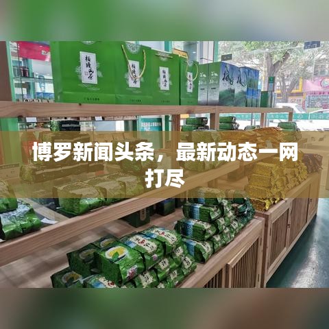 博罗新闻头条,最新动态一网打尽