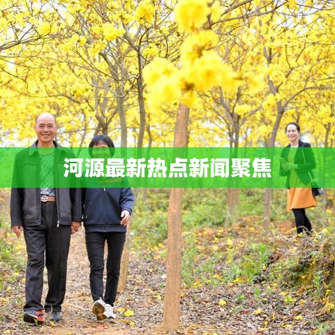 河源最新热点新闻聚焦