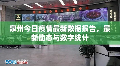 泉州今日疫情最新数据报告,最新动态与数字统计