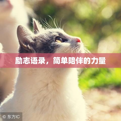 励志语录,简单陪伴的力量