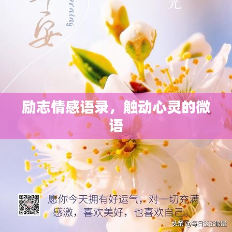 帮助中心 第4页