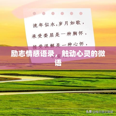 励志情感语录,触动心灵的微语