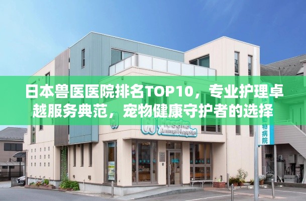 建站服务 第4页