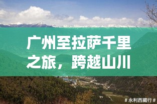 炊粱跨卫