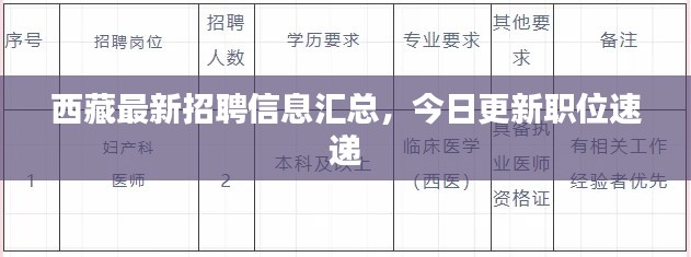 西藏最新招聘信息汇总,今日更新职位速递