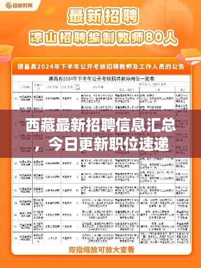 西藏最新招聘信息汇总,今日更新职位速递