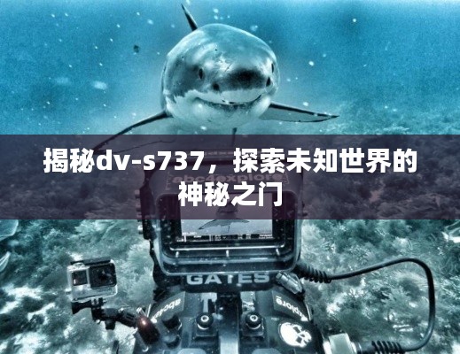 揭秘dv-s737,探索未知世界的神秘之门