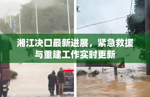 湘江决口最新进展,紧急救援与重建工作实时更新