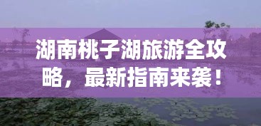 湖南桃子湖旅游全攻略,最新指南来袭!