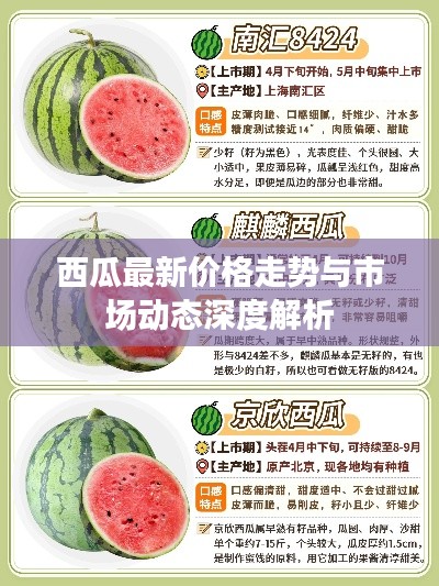 西瓜最新价格走势与市场动态深度解析