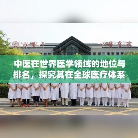 中医在世界医学领域的地位与排名,探究其在全球医疗体系中的影响力