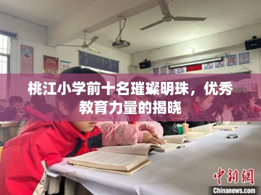 网站案例