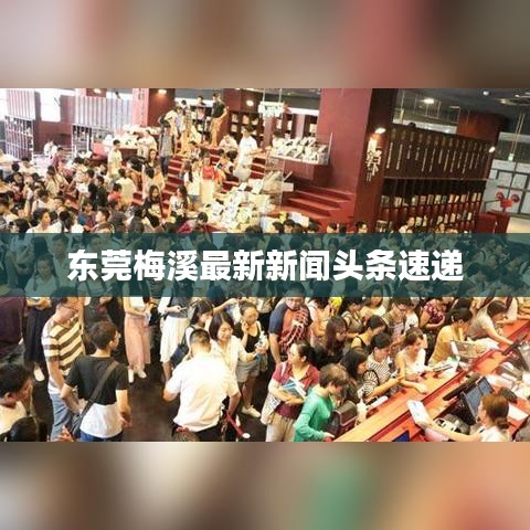 东莞梅溪最新新闻头条速递