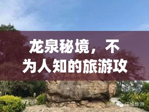 心得分享