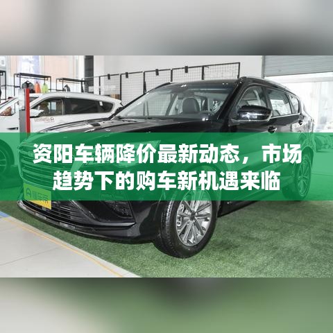 打张鸡儿