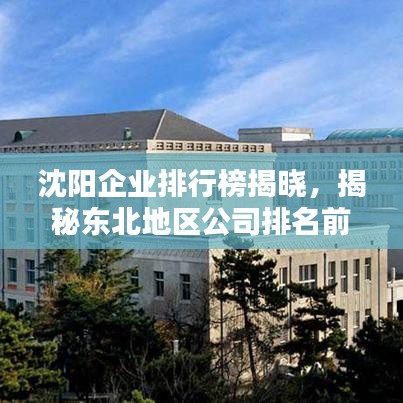 沈阳企业排行榜揭晓,揭秘东北地区公司排名前列的企业名单