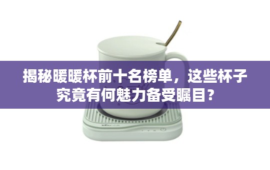 揭秘暖暖杯前十名榜单，这些杯子究竟有何魅力备受瞩目？