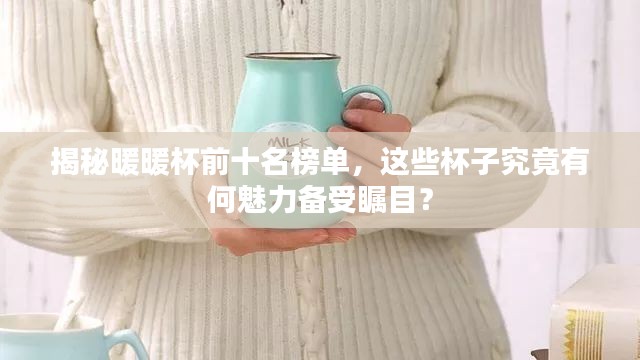 揭秘暖暖杯前十名榜单,这些杯子究竟有何魅力备受瞩目?