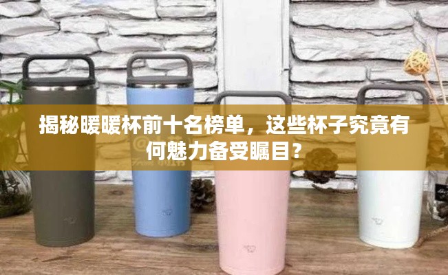揭秘暖暖杯前十名榜单,这些杯子究竟有何魅力备受瞩目?