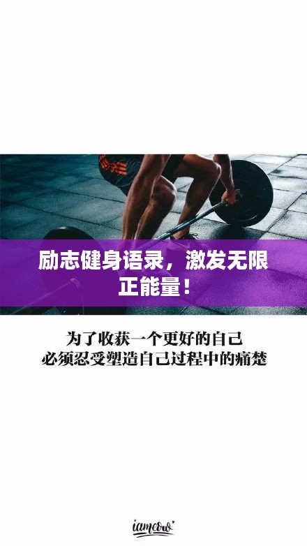 纲挈目张