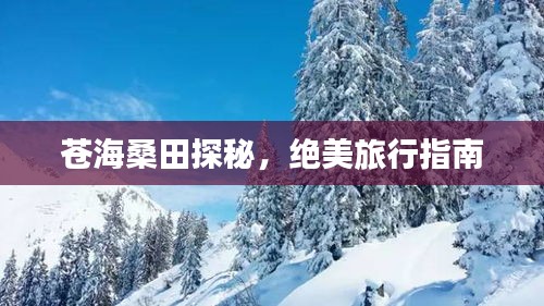 苍海桑田探秘,绝美旅行指南