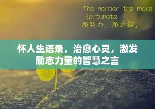怀人生语录,治愈心灵,激发励志力量的智慧之言