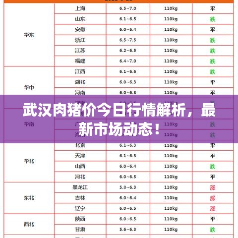武汉肉猪价今日行情解析，最新市场动态！