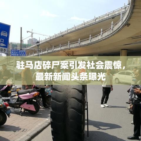 驻马店碎尸案引发社会震惊,最新新闻头条曝光