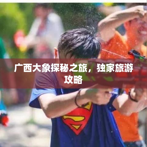 广西大象探秘之旅，独家旅游攻略