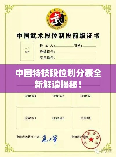 中国特技段位划分表全新解读揭秘！