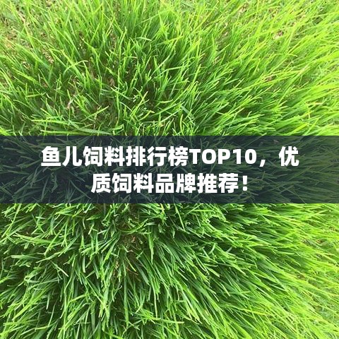 鱼儿饲料排行榜TOP10，优质饲料品牌推荐！
