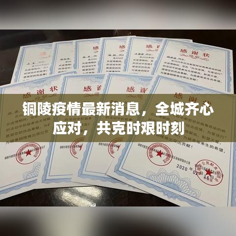铜陵疫情最新消息,全城齐心应对,共克时艰时刻