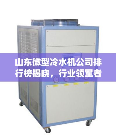 山东微型冷水机公司排行榜揭晓,行业领军者榜单出炉!