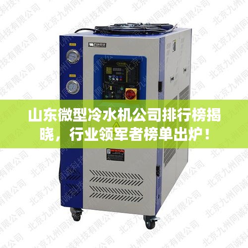 山东微型冷水机公司排行榜揭晓,行业领军者榜单出炉!