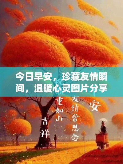 今日早安,珍藏友情瞬间,温暖心灵图片分享